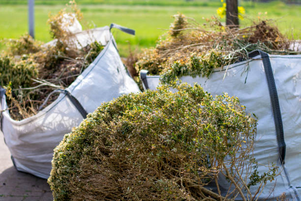 Best Professional Junk Removal  in Corry, PA